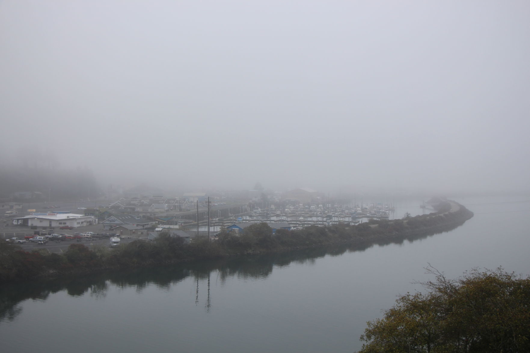 Harbor Fog